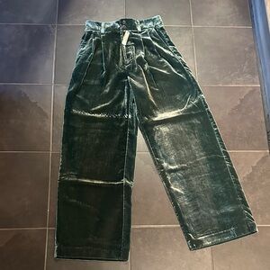 Madewell Green Velvet Pants